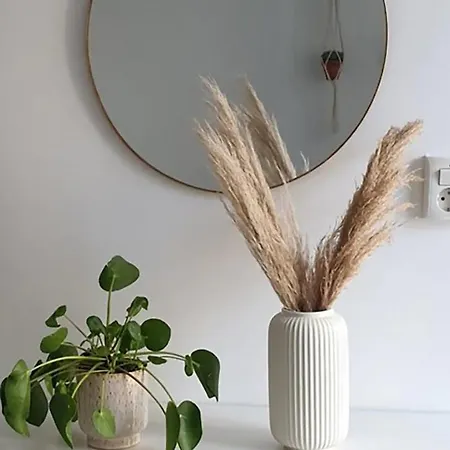 Studio'S In The Center Of Amsterdam! 3* אמסטרדם