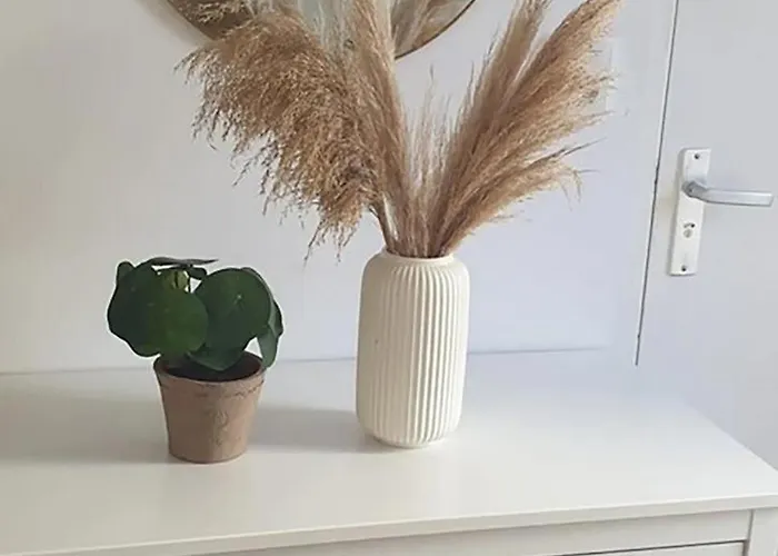 Studio'S In The Center Of Amsterdam! Maison d'hôtes 3*