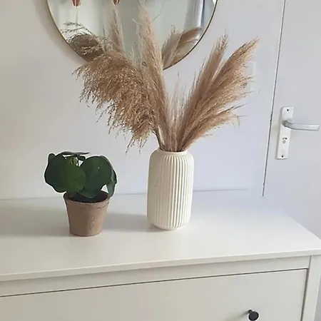 Studio'S In The Center Of Amsterdam! Pensionat 3*