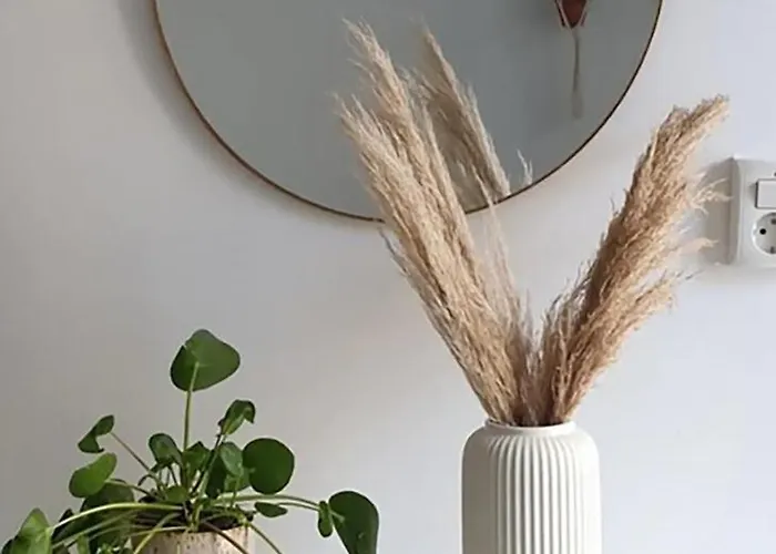 Studio'S In The Center Of Amsterdam! 3* Amsterdam